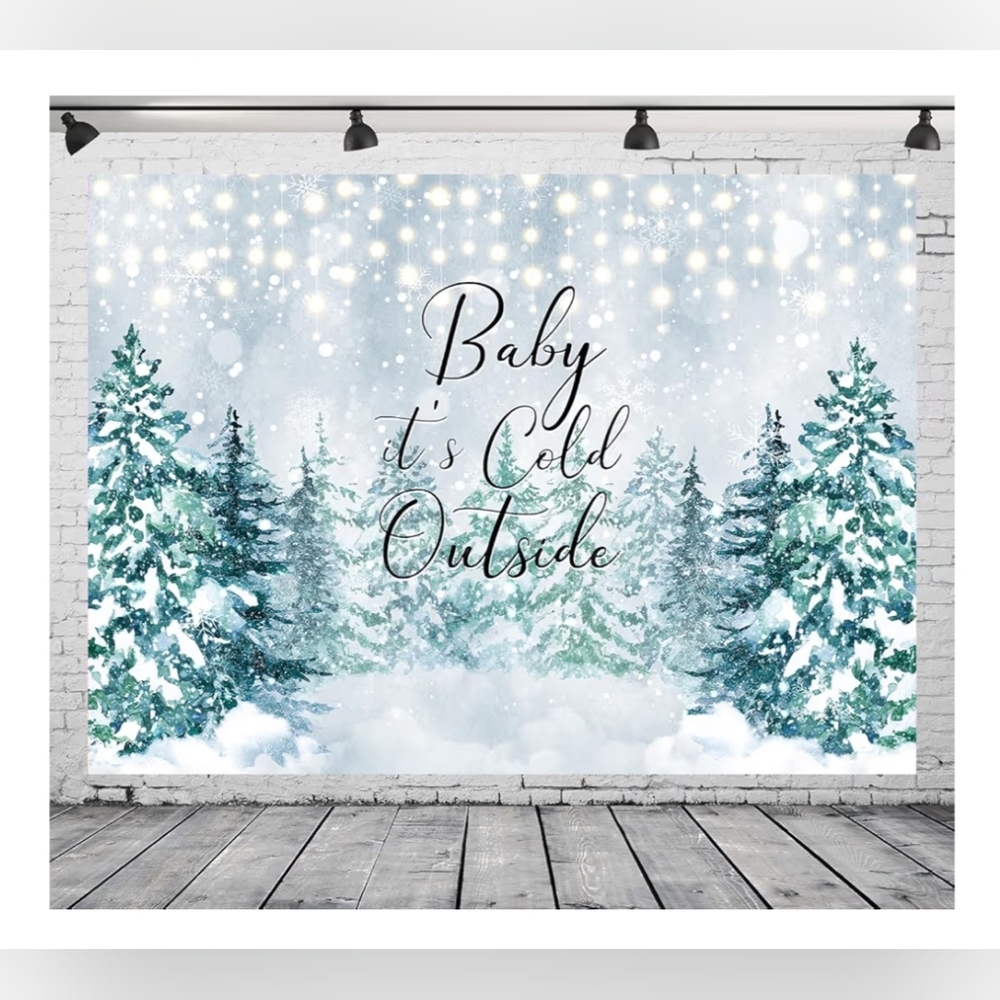 BN Baby It's Cold Outside Vinyl Backdrop For Baby Shower
